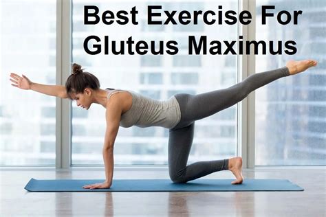 17 Best Exercise For Gluteus Maximus Mobile Physio