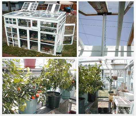 DIY Greenhouse From Old Windows