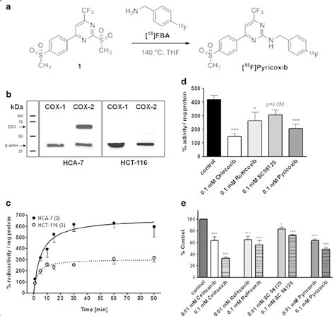 A Radiosynthesis Of 18 F Pyricoxib Utilizing Building Block 4 18