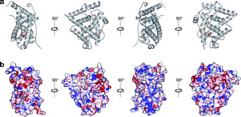 Probing The Origin Of Estrogen Receptor Alpha Inhibition Via Large