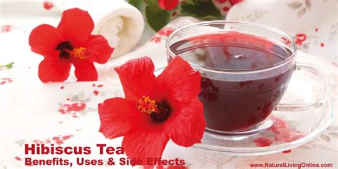 Hibiscus Tea Benefits Key Health Advantages Explained Natural Living