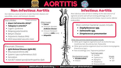 Rheum OnePagers On Twitter Aortitis Lets Review The Differential