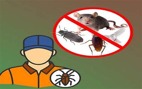 Godrej Pest Control Services In Delhi Noida Gurgaon Ncr India