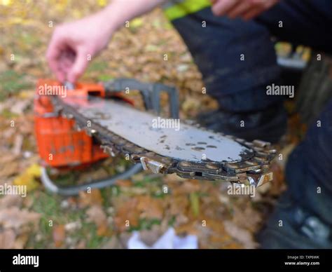 Chainsaw repair hi-res stock photography and images - Alamy