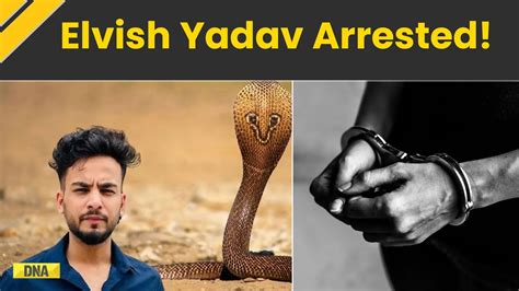 Breaking News YouTuber Elvish Yadav Arrested By Noida Police To Be