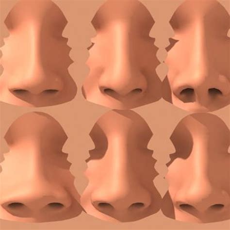 Set 6 Noses 3d 3ds