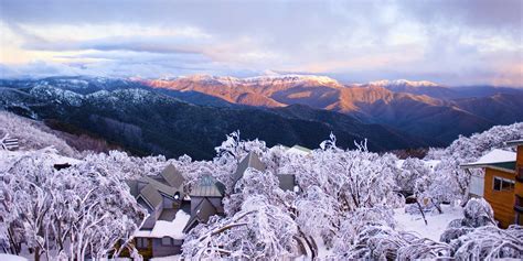 Why Spring Is The Perfect Time To Visit Mt Buller Holidays With Kids