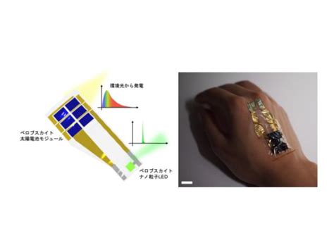 東大ら，超薄型ペロブスカイト光電デバイスを開発 Optronics Online オプトロニクスオンライン