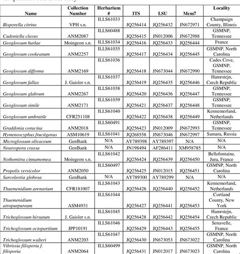 Nothomitra Semantic Scholar