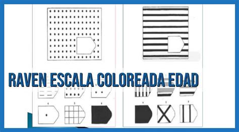 Descubre La Fascinante Escala Coloreada De Edad Del Raven