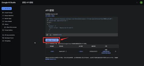GitHub处处有惊喜——1个可以让你国内直接使用Google Gemini大模型的项目，Free！_哪里可以体验google 大模型-…