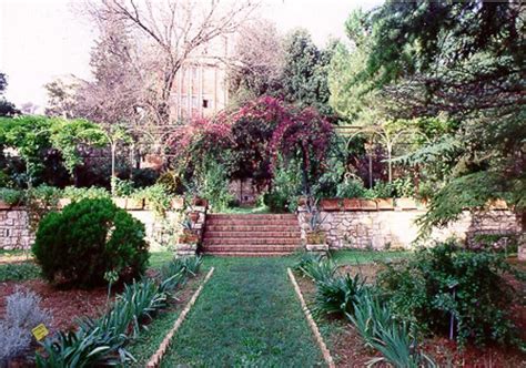 Museo Orto Botanico Bari ViaggiArt