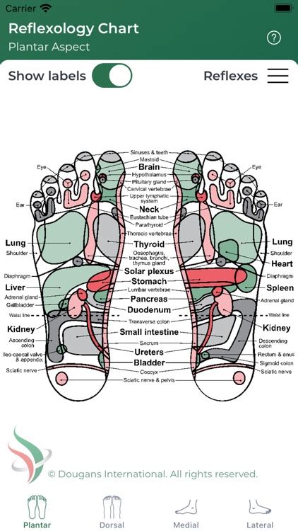 Reflexology Chart by Droid Army CC