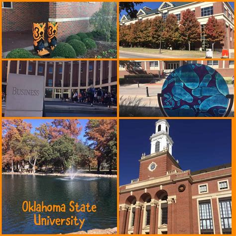 oklahoma state university magellan college counseling
