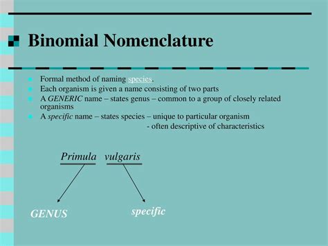 What Are Biological Species Ppt Download