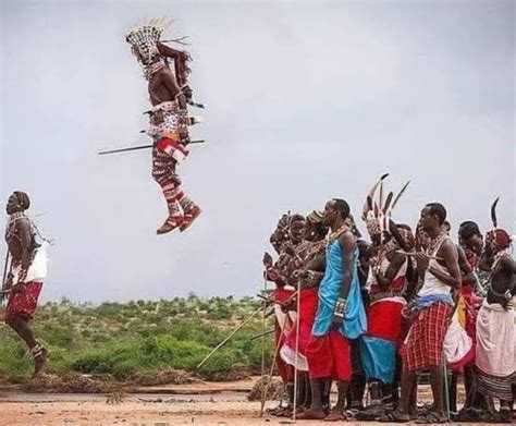 Maasai Jumping Dance How High Can You Jump Platformsafrica