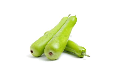 Long Dudhi Bottle Gourd Evergreen Foods