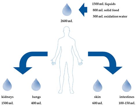 Jcm Free Full Text Management Of Dehydration In Patients Suffering