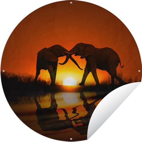 Tuincirkel Olifant Zon Afrika X Cm Ronde Tuinposter