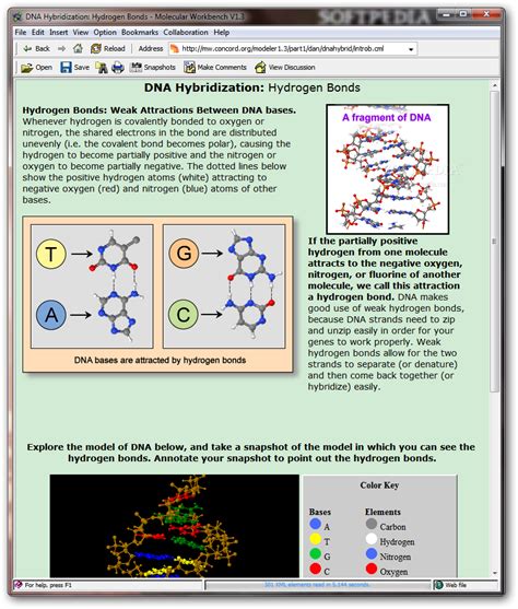 DNA Hybridization - Download, Screenshots