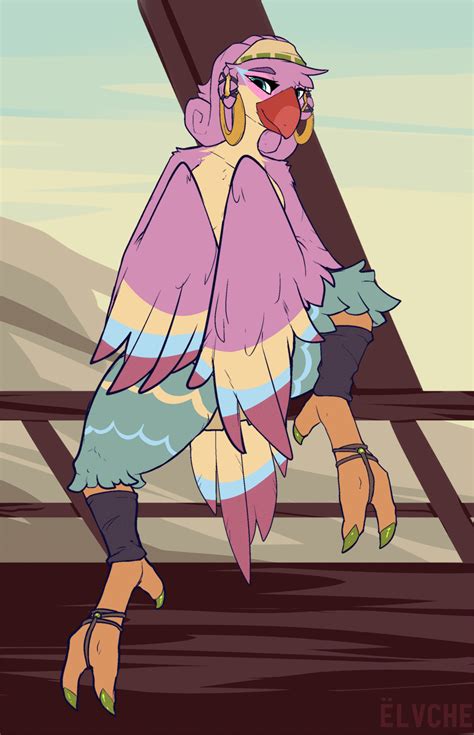 Rule 34 2020 Animated Avian Breath Of The Wild Clothed Clothing Elvche Female Hi Res Looking