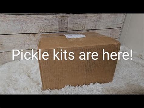 Box Opening Of Blank Kits Pickle Sculpted By Nikki Johnston Youtube