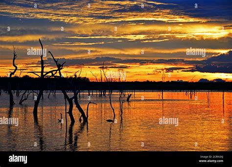 Sunset over Lake Kariba in Zimbabwe Stock Photo - Alamy