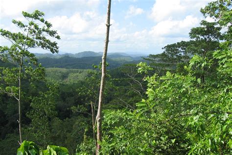 Kottawa Reserve Forest – on the map, photo | Sri Lanka Finder