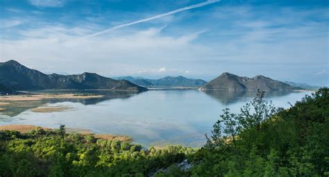 Flora I Fauna Nacionalnog Parka Skadarsko Jezero