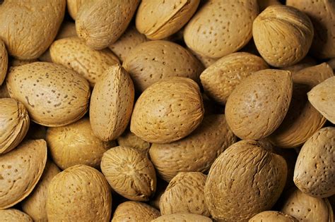 Almonds Nuts Nibble Free Photo On Pixabay Pixabay