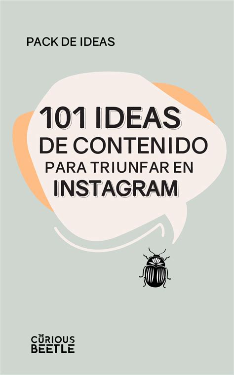 Ideas De Contenido Para Triunfar En Instagram The Curious Beetle