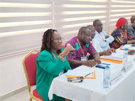 C Te D Ivoire Metfpa Fin De Latelier De Formation