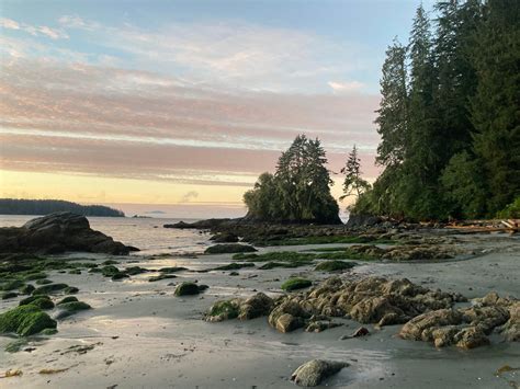 Sunrise On The West Coast Trail Vancouver Island Canada Oc