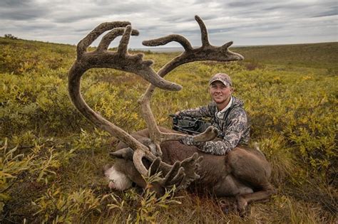 Alaska Caribou And Grizzly Bear Hunting Alaska Arctic Adventures