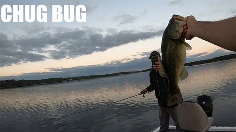 Topwater Potomac River Bass Fishing Chug Bug YouTube