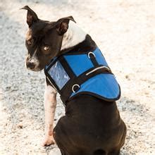 Padded Service Dog Vest | Vest with ID Holder | Black & White Dog Vest ...