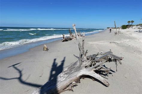 Discover Stump Pass Beach State Park And Stunning Gulf Coast Barrier Islands