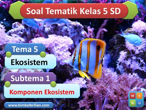 Ppt Soal Kelas Tema Subtema Komponen Ekosistem Bimbel Brilian Riset