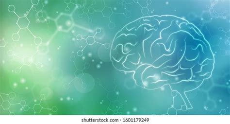 3,467 2d Brain Images, Stock Photos, 3D objects, & Vectors | Shutterstock