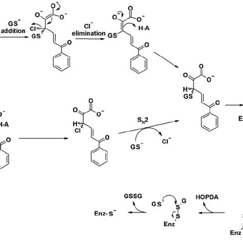 The Bph Pathway Responsible For The Degradation Of Biphenyl A