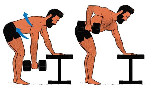 The Best Dumbbell Back Exercises & Workout