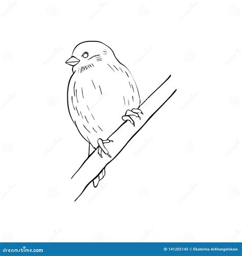 Simple Bird On Branch Drawing