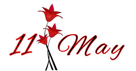 May 11th Celebrating Mothers Day With Red Date Red Spring Png