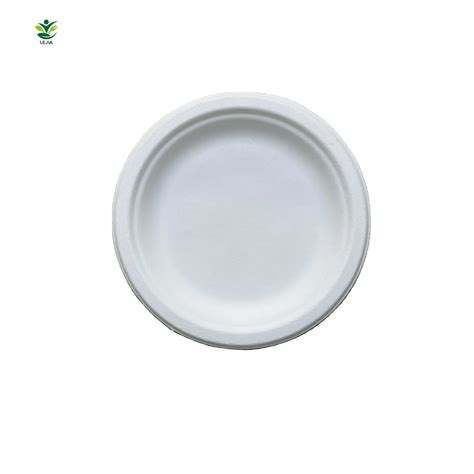 Disposable Heavy Duty White Biodegradable Sugarcane Bagasse Pulp