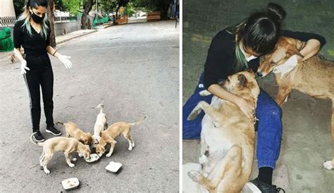 Facebook Viral Mujer Alimenta A Los Perros Cajeros Durante La Cuarentena Y Conmueve Con Su