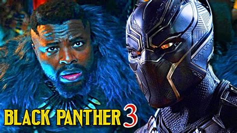 Will There Be A Black Panther 3 Exploring The Possibilities Around