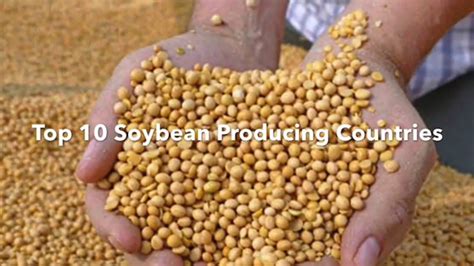 Top 10 Soybean Producing Countries Youtube