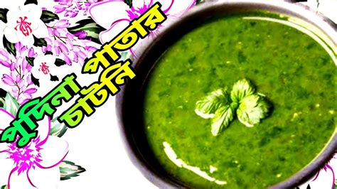 পুদিনা পাতার চাটনিmentos Pudina Pather Chutneygreen Chutneyগ্রীন