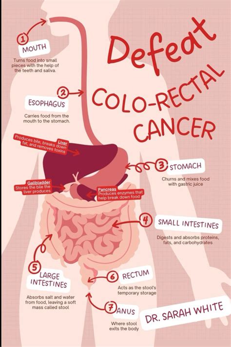 Defeat Colo Rectal Cancer Take Control And Beat Colo Rectal Cancer