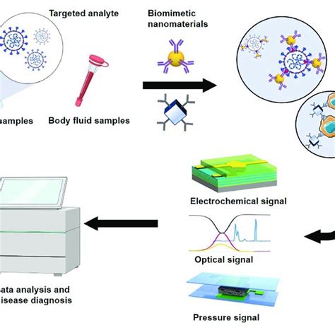 Schematic Diagram Of Biomimetic Nanomaterials Applied To Biosensor Download Scientific Diagram